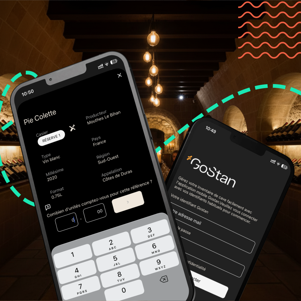 <p>D&eacute;veloppement App Mobile React Native : Le cas GoStan | Qualityteam</p>